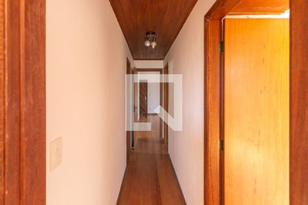 Corredor de apartamento para alugar com 4 quartos, 220m² em Dona Clara, Belo Horizonte